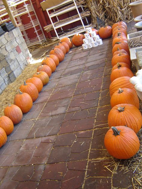 Pumpkin bowling! It's easy! Use toilet paper rolls as bowling pins Toilet Paper Bowling, Pumpkin Bowling Game Fall Festivals, Bowling Trunk Or Treat, Weekend Checklist, Pumpkin Bowling, Haunted Trail, Carnival Tent, Fall Festival Games, Fall Fair