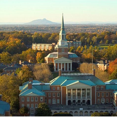 Winston Salem North Carolina, Wake Forest University, Wake Forest, Winston Salem, Colleges And Universities, Fun Things, North Carolina, Fun Things To Do, Things To Do