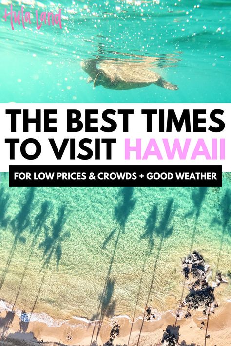 Best time to visit Hawaii, including tips for weather, crowds, and planning your dream Hawaii vacation. Oahu Activities, Hawaii Vacation Tips, Hawaii Trip Planning, Hawaii Guide, Oahu Hikes, Hawaii Itinerary, Oahu Beaches, Surf Competition, Kailua Beach