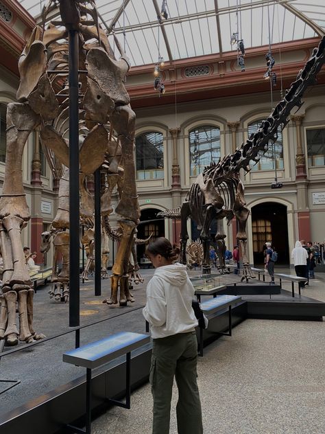 #aesthetic #museum #girlfriend #dinosaur Palentogist Aesthetic, Science Museum Aesthetic, Anthropologist Aesthetic, Paleontology Aesthetic, Museum Date Aesthetic, Dinosaur Aesthetic, Fun Museum, Dino Museum, Dinosaur Exhibit