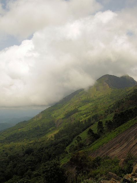 #Kerala Mountain Kerala Mountains, View Point, Mountain Photography, India Travel, Mountain View, Kerala, Beautiful Places, India, Natural Landmarks