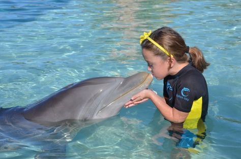 Dolphin Encounter at Atlantis! Bahamas Eleuthera, Bahamas Honeymoon, Atlantis Bahamas, Bahamas Travel, Bahamas Vacation, Bahamas Cruise, A Dolphin, Family Cruise, Paradise Island