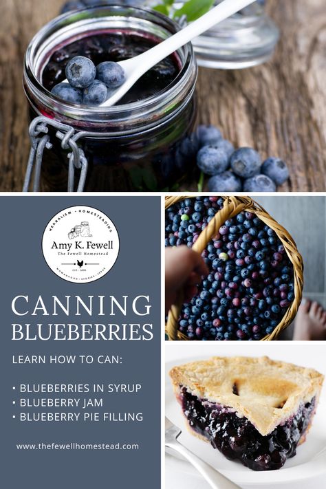 Canning Blueberry Pie Filling, Fun Picnic Ideas, Canning Blueberries, Blueberry Pie Filling Recipes, Lost Skills, Mason Jar Pies, Devonshire Cream, Homemade Blueberry Pie, Mason Jar Recipe