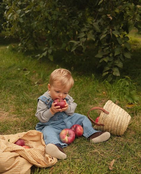 oohhhh yes 🌳👋🏼🧺 —— apple picking season has started 🙂. RESTOCK of the most extraordinary overalls in the world 🙃… and they are selling like hot cake, so we already have ANOTHER shipment on the way . 👀 surprise : —— adult version finally available !! ( I personally wear it every week for 6 months) Exclusivity in Quebec 🏠. 6 Month Apple Pictures, Family Apple Picking Photos, Apple Orchard Baby Photoshoot, Apple Picking Photoshoot Baby, Baby At Pumpkin Patch, Apple Picking Picture Ideas, Apple Photoshoot Baby, Apple Orchard Baby Pictures, Baby Apple Orchard Pictures