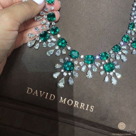 CHAMPAGNE GEM by Bebe Bakhshi on Instagram: “glistening and dazzling necklace featuring 140 carats of diamonds and Colombian emeralds from @davidmorrisjeweller, showcasing incredible…” Hallmarked Green Diamond Necklace, Luxury Green Diamond Necklace With Gemstone, Luxury Hallmarked Emerald Necklace With Diamonds, Luxury Green Diamond Gemstone Necklace, Luxury Diamond Emerald Necklace, Fine Jewelry, Colombian Emeralds, High Jewelry, Stone Color, Champagne