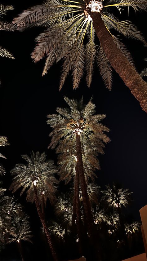 Arab Nights Aesthetic, Dark Tree Wallpaper, Arabic Night, Palm Tree Aesthetic, Night Landscape Photography, Arte Van Gogh, Iphone Lockscreen Wallpaper, Art Ancien, Night Scenery