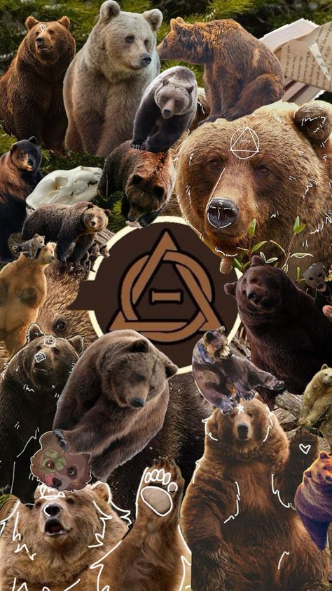 𖦹 Grizzly Bear Therian 𖦹 #grizzlybear #therian #therianthropy #therianbackground #therianwallpaper Bear Therian, Love Bear, Grizzly Bear, Bears