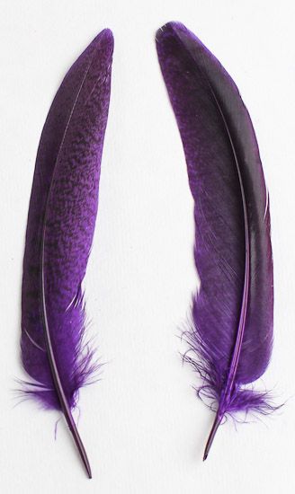 . Tlc Quotes, Crow Magic, Violet Beauregarde, Purple Feathers, Purple Stuff, Purple Feather, Purple Reign, Desenho Tattoo, Feather Art