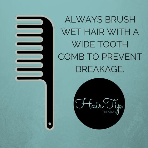 Tip Tuesday Hair, Hair Tip Tuesday, Hairdresser Tips, Funny Hairstylist Quotes, Salon Marketing Social Media, Regrow Lost Hair, Hair Stylist Tips, 4c Natural Hair Care, Hair Salon Quotes