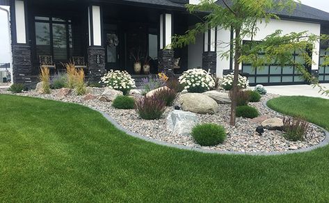 Landscaping Grey House, Subdivision Landscaping Front Yards, Landscape Design With Rocks, Landscaping Front Yard With Rocks, Rock Landscaping Ideas Front Yard, Xeriscape Front Yard, Landscaping Rocks, Turf Backyard, Landscaping Pool