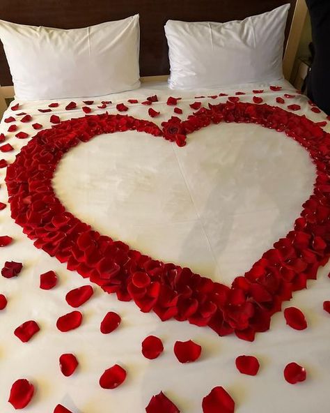 Bali Basics on Instagram: "Birthdays are sweeter with roses . . . . . . . . . . . #vegasbirthday #vegasthings #visitvegas #setupinspiration #thirty #birthdaygift #vegashotels #vegashotel #roomdecorator #romantic #romantichotel #romantichotels #luxurylifestyle #travelidea #rosepetals #roses" Hotel Room Romantic Rose Petals, Day Room Decor, Room Decor Design, Wedding Night Room Decorations, Wedding Room Decorations, Vegas Birthday, Flower Garland Wedding, Day Room, Romantic Bedroom Decor