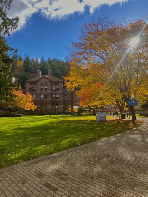 Bellingham Washington Aesthetic, Bellingham Wa, Seattle Street, Bellingham Washington, Go Broncos, Green Valley, University Of Washington, Wildlife Gardening, Dream School