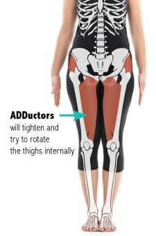 Neglecting your hip abductors can mess up your walk, sleep and balance Stretching Adductors, Hip Adductor Vs Abductor, Abductor Exercises, Hip Abductor Exercises, Homemade Body Wraps, Hip Abductors, Nerve Anatomy, Knee Care, Fit At 40