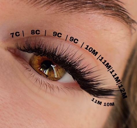 B Curl Lash Extensions, Hybrid Lash Extensions Styles Cat Eye, Basic Curls, Cat Eye Hybrid Lash Extensions, Eyelash Extension Styles, Lash Glue Remover, Extension Styles, Pro Lash, Natural Fake Eyelashes