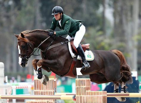 Showjumping Aesthetic, Kathiyawadi Horse, Horse Riding Aesthetic, Horse Competition, Warmblood Horses, Show Jumping Horses, Beautiful Horse Pictures, American Games, Pan American