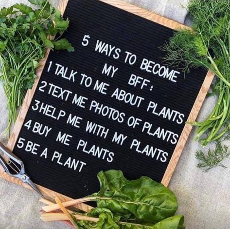 Plant Jokes, Gardening Memes, Garden Poems, National Best Friend Day, Plant Puns, Plants Quotes, About Plants, Garden Quotes, My Bff