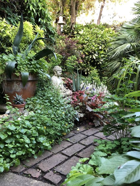 Ten Top Tips for Small, Shady Urban Gardens Landscape Structure, Back Garden Design, Plants And Flowers, Back Gardens, Courtyard Garden, Garden Structures, Garden Cottage, Small Gardens, Shade Garden