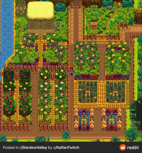 Stardew Fish Pond Layout, Stardew Valley Tree Layout, Stardew Bee House Layout, Ginger Island Layout Stardew Valley, Stardew Valley Beach Farm Layout No Mods, Stardew Building Colors, Stardew Orchard, Bee House Stardew Valley, Stardew Valley Orchard