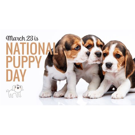 NATIONAL PUPPY DAY - MARCH 23 It's been said that happiness is a warm puppy. Well, today is Happy National Puppy Day! So, be happy. Dogs are the most trusting and joy-filled animals on earth. The idea of celebrating national puppy day is to focus on puppies in need of adoption and on the abuses found in puppy mills. Proverbs 17, Animals Food, 23 March, National Puppy Day, What Kind Of Dog, Puppy Day, Poor Dog, Animal Advocacy, Kinds Of Dogs