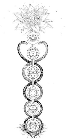 Snake With Chakras Tattoo, Mandala Chakra Tattoo, Kundalini Tattoo Chakras, Kundalini Chakra Tattoo, Kundalini Spine Tattoo, Kundalini Snake Tattoo Spine, Snake And Chakra Tattoo, Kundalini Back Tattoo, Chakra Coloring Pages