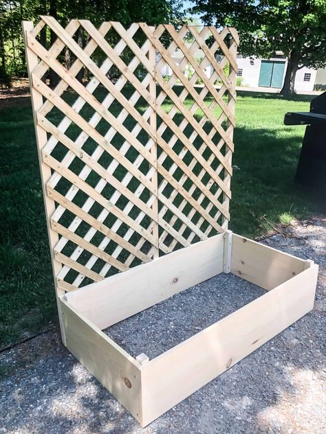 How To Build a Raised Planter Bed with Trellis - Cottage On Bunker Hill Cheap Planters, Raised Garden Planters, Diy Garden Trellis, Raised Planter Beds, Patio Privacy, نباتات منزلية, Diy Trellis, Diy Raised Garden, Raised Garden Beds Diy