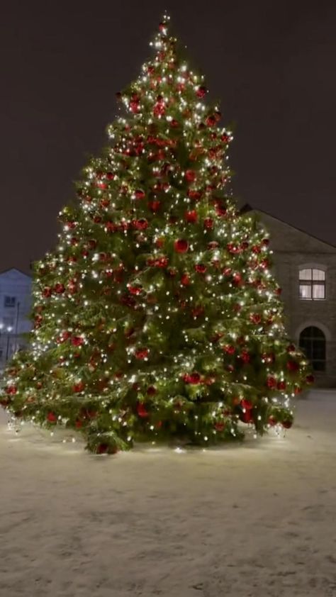 Merry Christmas Aesthetic Video, Christmas Tree Video, Winter Christmas Scenes, Beautiful Christmas Scenes, Christmas Videos, Christmas Video, Merry Christmas Gif, Christmas Scenery, Merry Christmas Images