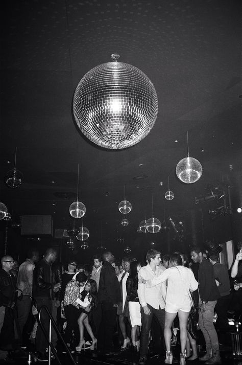 Le Bain : Let's Meet Under The Disco Ball Festival Wedding, Disco Ball, Upcoming Events, Festival, Concert