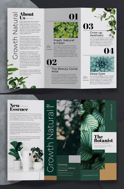 Research Brochure Design, Brosure Design Creative, Brochure Layout Trifold, Graphic Design Brochure Creative, Leaflets Design Layout, Creative Brochure Design Ideas Layout, Brochure Page Design, Leaflet Design Layout Creative, Leaflet Graphic Design