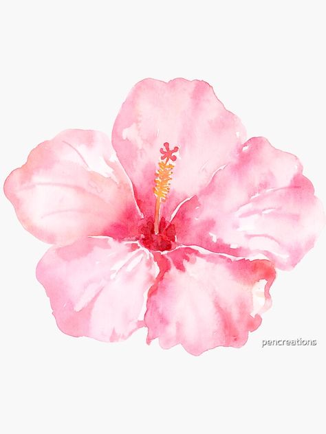 Hibiscus Drawing, Hibiscus Wallpaper, Gcse Sketchbook, Hibiscus Flower Tattoos, Plumeria Tattoo, Wallpaper Animals, Hibiscus Tattoo, Summer Wallpapers, Iphone Theme