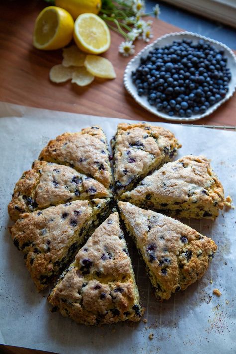 Wild Blueberry Scones Recipe - ZoëBakes Paleo Scones, Zoe Bakes, Blueberry Scones Recipe, Blueberry Bars, Blueberry Desserts, Scones Recipe, Blueberry Scones, Candied Ginger, Easy Paleo