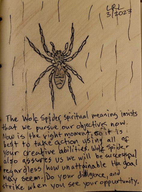 Spider Totem Meaning, Spiders In Witchcraft, Spider Web Meaning, Spider Omen Meaning, Bugs Spiritual Meaning, Brown Spider Spiritual Meaning, Astral Spiders, Spider Tattoo Meaning, Wolf Spider Tattoo