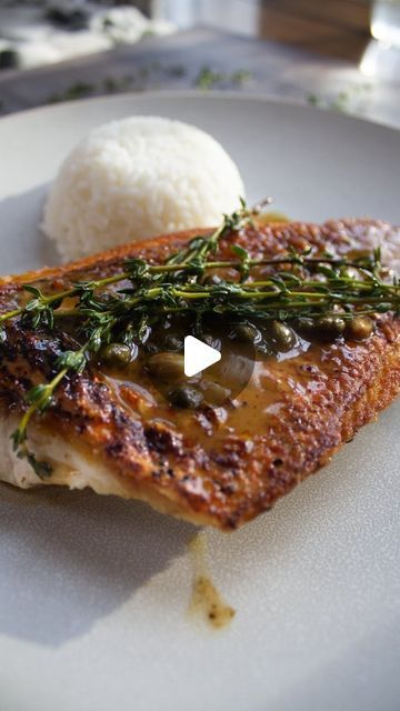 Vinny DelGiudice on Instagram: "Pan Seared Snapper with a Lemon Butter Sauce 

This recipe is so so good and I truly think anyone can learn to cook fish with a tiny bit of practice. This one is a great summer recipe and the full recipe is available on my website! 🐟" Snapper Fillet Recipe Baked, Fish Recipes Pan Seared, Snapper Fillet Recipes, Snapper Fish Recipes, Snapper Fish, Seared Fish, Lemon Butter Sauce, Lemon Butter, Pan Seared