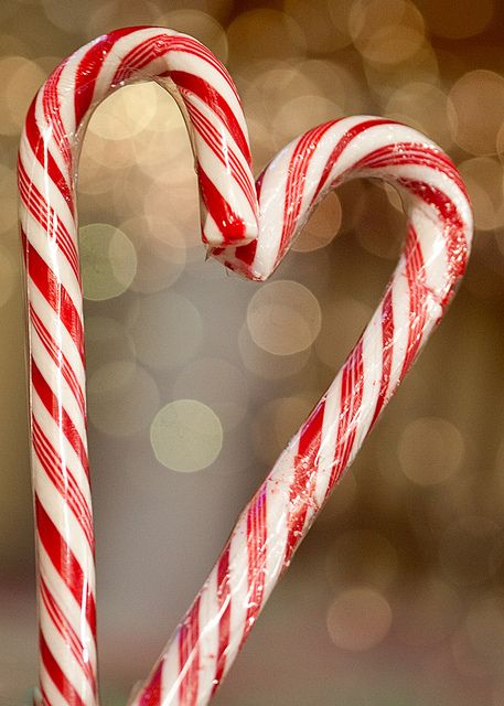 candy cane love - simple holiday photo. would make great cards. Romanticizing Christmas, Legend Of The Candy Cane, Season Wallpapers, Peppermint Forest, Candy Cane Legend, Christmas Edit, Christmas Gift Exchange Games, Black Rosary, Baby Ferrets