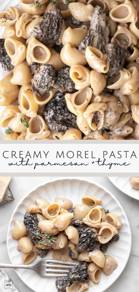 This morel pasta is filled with the rich flavor of morel mushrooms, nutty parmesan and fresh thyme. It’s a decadent pasta dish that is so worthy of your special morel stash! Morel Mushroom Pizza Recipes, Dried Morel Recipes, Vegan Morel Mushroom Recipes, Morel Pasta Recipe, Morel Mushroom Recipes Pasta, Morel Mushroom Pasta, Sauteed Morel Mushroom Recipes, Morell Mushrooms Recipes, Stuffed Morel Mushroom Recipes