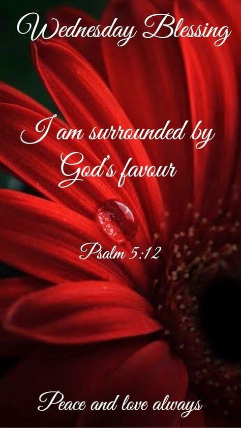 I am surrounded by God's favour: Wednesday Blessing wednesday wednesday quotes wednesday quote wednesday blessing morning nights days wednesday images wednesday wishes wednesday greetings Wensday Blessings Happy Wednesday, Wonderful Wednesday Blessings, Wednesday Afternoon Blessings, Wednesdays Blessings, Blessed Wednesday Quotes, Wednesday Blessings Scriptures, Wednesday Scripture, Wednesday Quotes Inspirational, Wednesday Blessings Inspiration