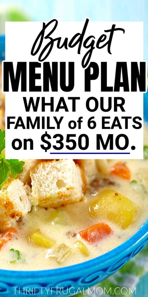 Month Budget, Easy Recipe Ideas, Cheap Meal Plans, Frugal Meal Planning, Aldi Meal Plan, Cheap Family Meals, Meal Planning Menus, Frugal Mom, Budget Meal Planning