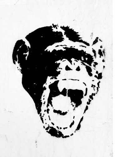 Monkey Stencil, Logo Design Inspiration Vintage, Stencil Graffiti, Monkey Tattoos, Graphic Design Images, Arte Punk, Graffiti Style Art, Graphic Poster Art, Tattoo Portfolio