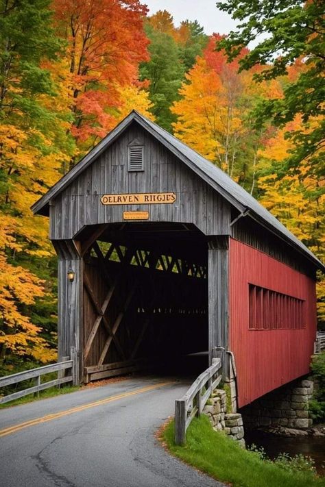 Vermont Covered Bridges, Stowe Vermont Fall, Smugglers Notch Vermont, Covered Bridge Painting, Fall Village, Vermont In The Fall, Growing Geraniums, Vermont Winter, Fall Scenes