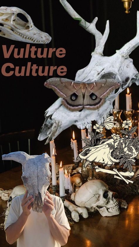 Vulture culture Vulture Culture, Bones, Pins, Quick Saves