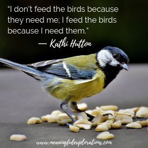 Watching Quotes, Homeschool Nature, Feed The Birds, Homeschool Nature Study, 2022 Planner, Weather Quotes, Bird Quotes, Spring Quotes, What Is A Bird