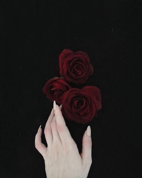 Pale hands in bad quality 🖤🌹 (as usual)  #roses #goth #gothic #aesthetic #paleaesthetic #pale #gothaesthetic #darkaesthetic #darkarts… Pale Hands, Mother Birthday Quotes, Dad Birthday Quotes, Gothic Love, Love You Poems, Birthday Quotes Inspirational, Pale Aesthetic, Father Son Quotes, Birthday Quotes For Daughter