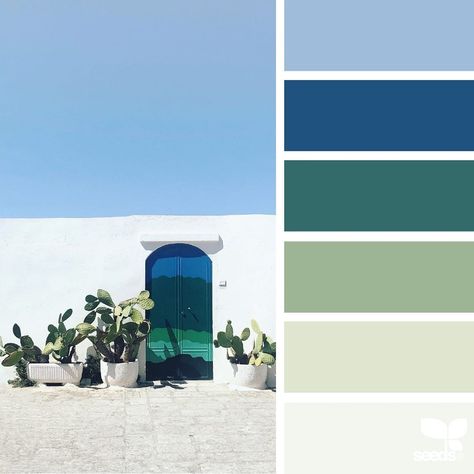 Jessica Colaluca (@designseeds) • Instagram photos and videos Color Psychology Personality, Seeds Color, Colour Guide, Vintage Interior Design, Palette Ideas, Design Seeds, Color Harmony, Color Psychology, Color Studies