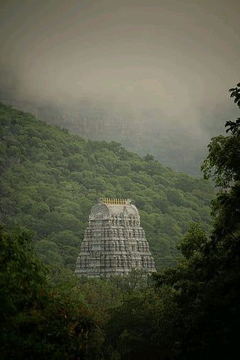 Visit us - www.balajidarshanbooking.com
Mail Us :padmavathitravelstnagar@gmail.com
Just call on - +91-9840805056,+91-9962717100
 we are ready to assist you Balaji Wallpaper, Balaji God, Tirupati Temple, One Day Book, Tirupati Balaji, Indian Temple Architecture, Wallpaper For Android, Temple Photography, Peace Illustration