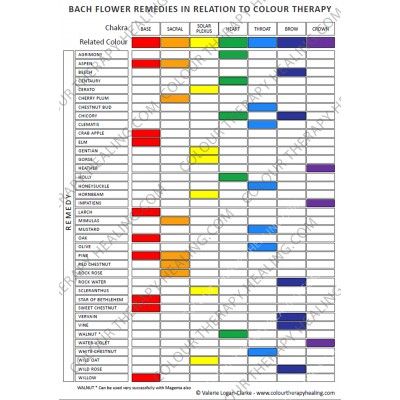 Bach Flower Remedies Chart in Relation to Colour Therapy Bach Remedies, Chakra Colours, Bach Flowers, Flower Remedies, Bach Flower Remedies, Colour Therapy, Flower Remedy, Chakra Colors, Flower Essences