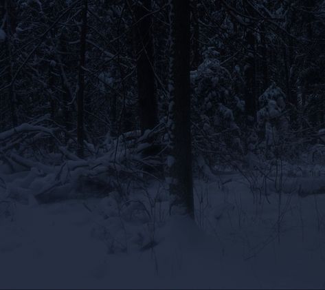 Poison Tree, Dark Paradise, Liminal Spaces, Winter Scenery, Blue Hour, Winter Forest, Dark Photography, Winter Aesthetic, Nature Aesthetic