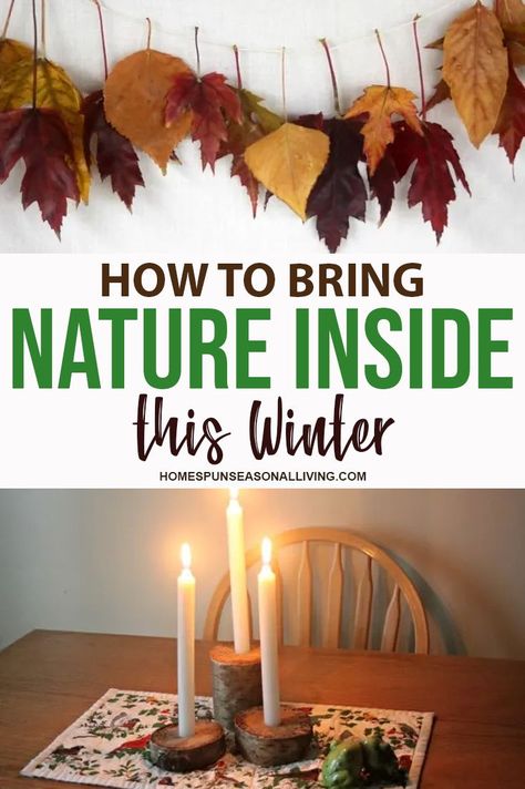 Winter Nature Decor, Nature Inside Home, Bringing Nature Into Your Home, Decorating With Nature Elements, Using Nature To Decorate, Decorate With Nature, Natural Winter Decor, Diy Woodland Decor, Winter Nature Crafts