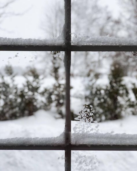 Winter Solstice Celebration, Kind Of Blue, Winter's Tale, Ice Crystals, Luxury Christmas, Winter Love, Winter Scenery, Window View, Christmas Vibes