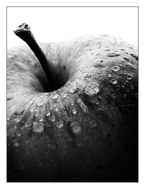 Foto Macro, Photo Macro, Melie Bianco, Black And White Photograph, Foto Tips, Foto Art, Trik Fotografi, White Picture, Water Droplets