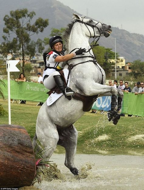 Eventing Cross Country, Cross Country Jumps, Cow Boys, 2016 Pictures, Eventing Horses, Equestrian Helmet, Rio Olympics 2016, Horse Aesthetic, English Riding