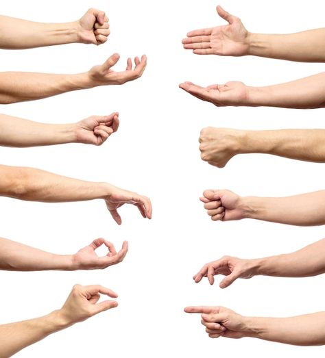 Multiple Hands, Hands Reaching Out, Hand Gestures, Hand Palm, Pointing Hand, Hand Photo, French Vocabulary, Hand Reference, Multiple Images